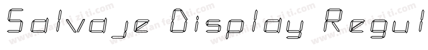 Salvaje Display Regular字体转换